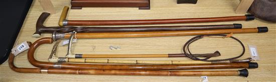 An Edwardian gold-mounted walking cane, four other walking sticks and two riding crops (7)